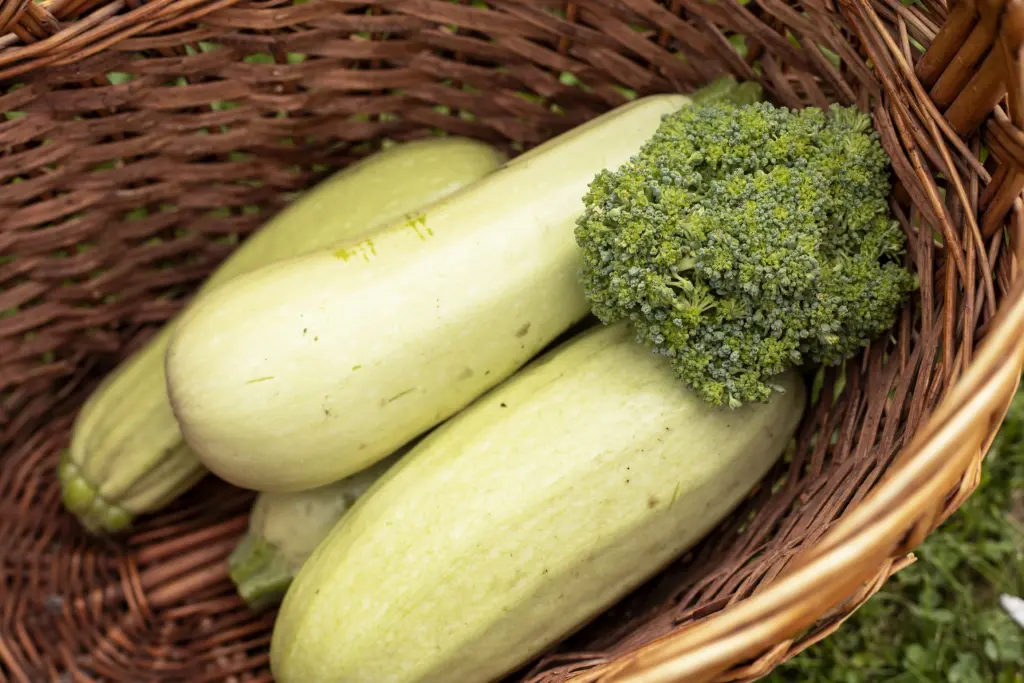 Tasty Words: From the Farm to the Fork